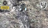 окупант,знищення