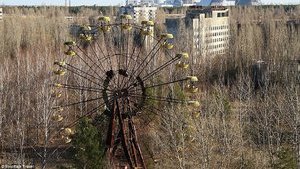 В Чернобыльской зоне происходит тление травяного настила на территории 5 лесничеств, - ГСЧС