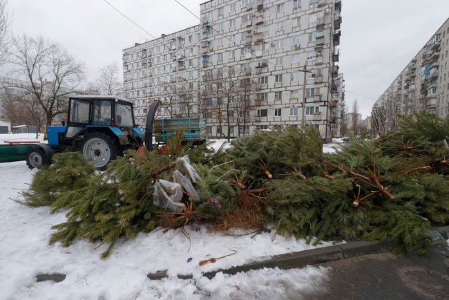Новорічні ялинки у Дніпрі переробляють на брикети для опалення 03