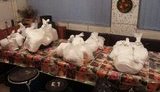 Полиция и ГПУ изъяли у ранее судимого наркоторговца 146 кг трамадола на сумму свыше 10 млн грн, - Сарган. ФОТО