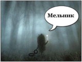 Мельник в тумане