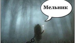 Мельник в тумане