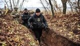 светлодарск