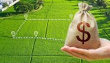Надходження земельного податку зросли на 13% порівняно з минулим роком