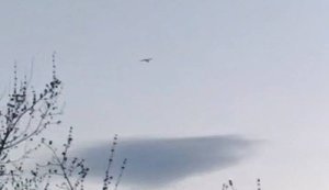 Drones attack Russia’s Voronezh region: chemical plant hit, fire breaks out. VIDEO