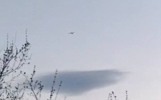 Дрони атакували Воронезьку область РФ: під ударом опинився хімзавод, сталася пожежа. ВIДЕО