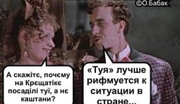 Каштаны – это что-то одно, а туи – что-то совсем другое