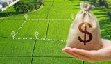 Від моменту відкриття ринку землі в Україні укладено півмільйона угод: яка середня ціна за гектар?