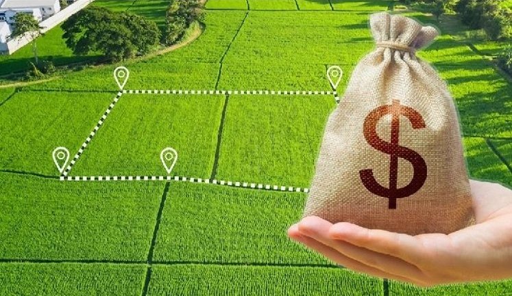 Від моменту відкриття ринку землі в Україні укладено пів мільйона угод: яка середня ціна за гектар?