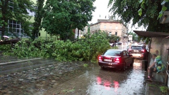 Жінка загинула через негоду у Львові 08