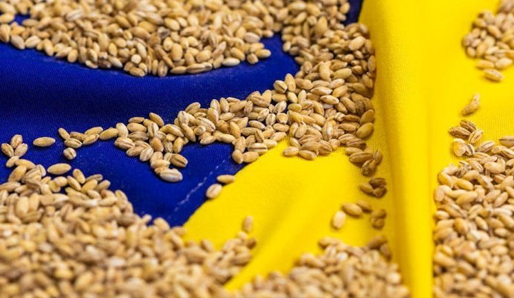 Український аграрний експорт торік перевищив $22 мільярди: ринок ЄС залишається ключовим