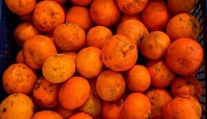 для,зсу,мандарини