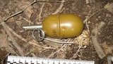 Военнослужащий, угрожая гранатой, пытался ограбить АЗС под Киевом