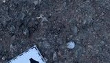 нацполиция