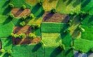 земля,рынок,поля,земли,сельское,хозяйство,сх,с/х