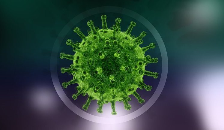 Ukraine confirms 683 new coronavirus cases in past 24 hours