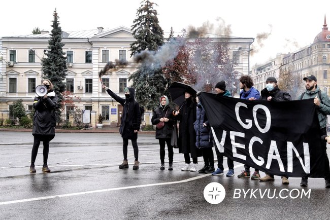 Захисники прав тварин провели акцію в центрі Києва 05