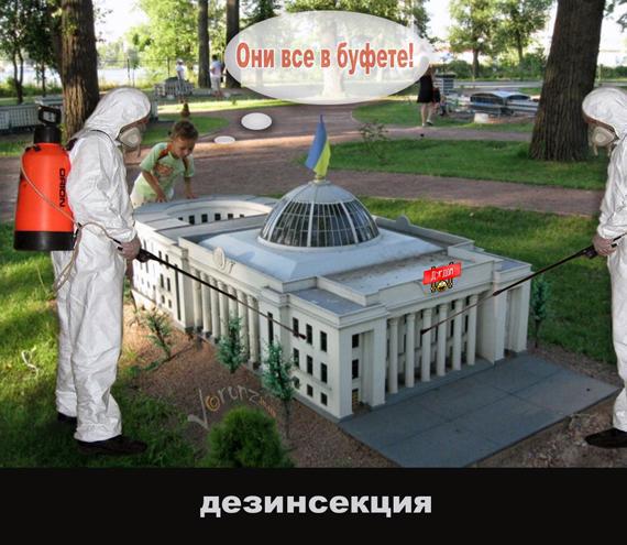 Дезинсекция