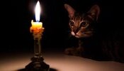 Графіки погодинних відключень електроенергії можливі лише за командою "Укренерго", – ДТЕК