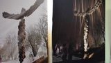Журі визначило кращу проектну пропозицію пам