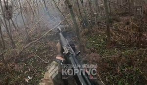 Разведчики Третьего армейского корпуса разоблачили проникших в лес рашистов. ВИДЕО