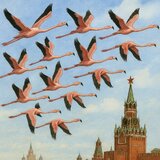 Напрямок для 