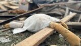 атака на Житомирщину 25 травня 2025 року