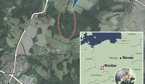 Польша предварительно подтвердила обнаружение в заброшенном тоннеле нацистского поезда с 300 т золота, о котором 70 лет ходили легенды. ФОТО