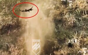 body of occupier is thrown high up by explosion