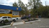 азс гфс
