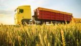 Автомобільне перевезення зерна в Україні подешевшало на більшості маршрутів