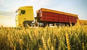 Автомобільне перевезення зерна в Україні подешевшало на більшості маршрутів