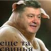 grob40