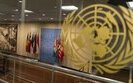 UN Security Council
