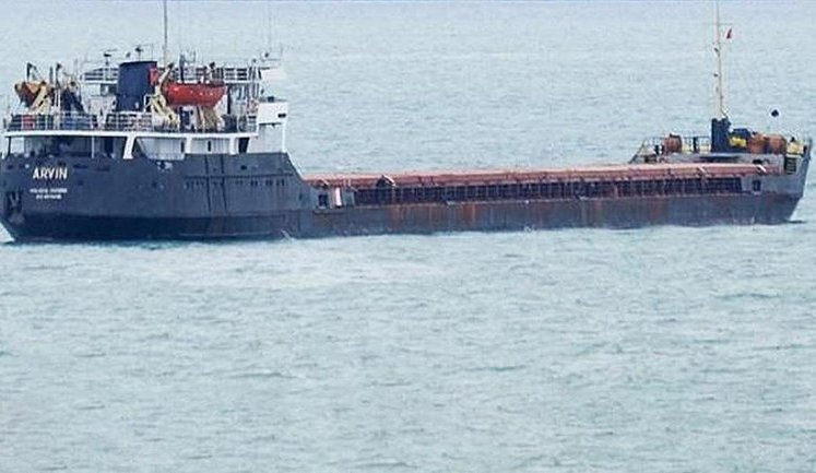 Dry cargo shipwreck in Black Sea: Ukrainian sailors return home