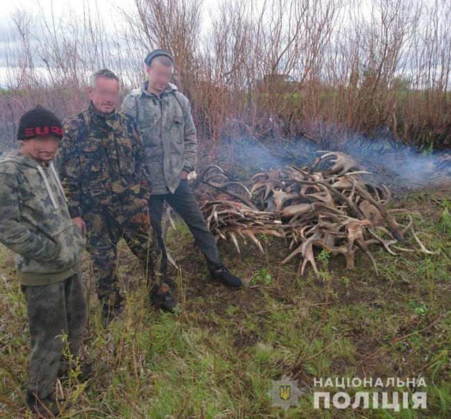 60 кг лосиных рогов пытались вывезти из Зоны отчуждения, - Нацполиция 01
