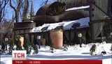 Каждый второй ресторан в столице открыт с серьезными нарушениями, - Госстройархнадзор. ВИДЕО