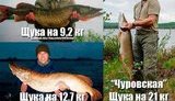 путин щука