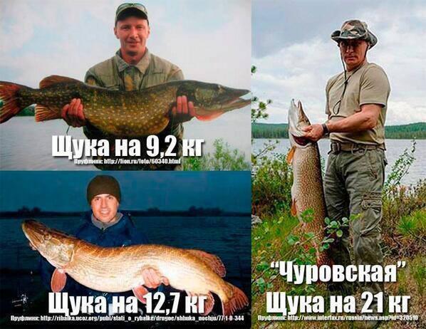 путин щука