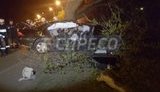 Car accident at Stolychne highway: Mercedes hit tree at high speed. PHOTOS