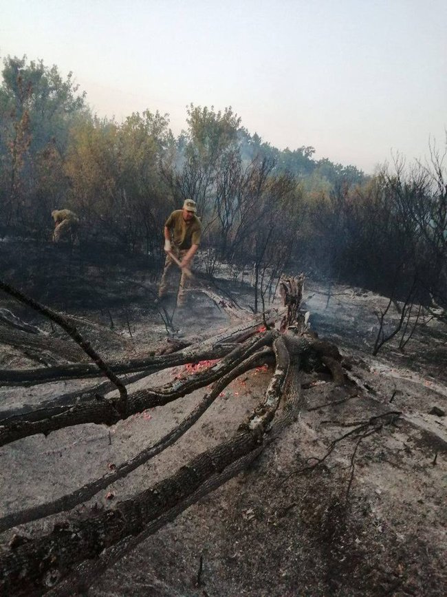 Пожежі на Луганщині можуть бути спровоковані підпалом з боку окупантів, - штаб ООС 06