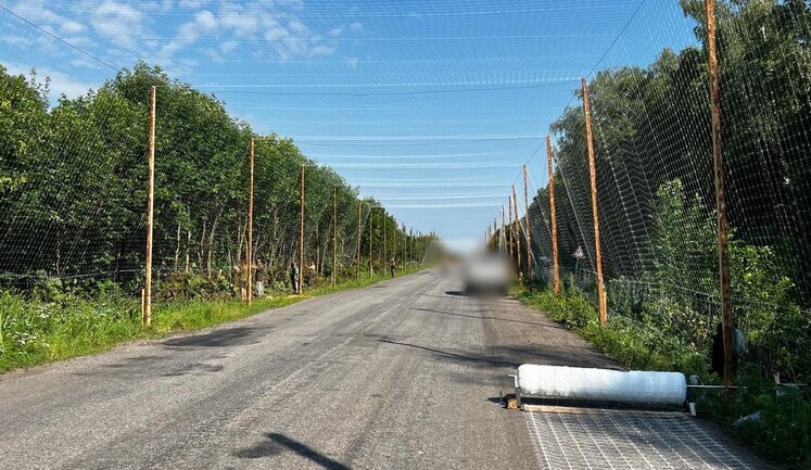 Будівництво "антидронових тунелів" триває на Сумщині: вони захищають військових та цивільних. ФОТОрепортаж