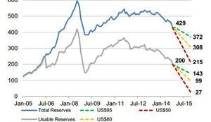 Золотовалютные резервы России иссякнут в 2015 году, - Morgan Stanley. Инфографика