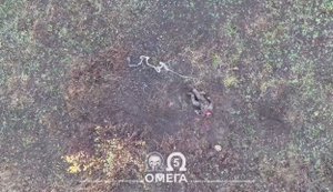 Спецназовцы "Омеги" нанесли удар по 3 вражеским пехотинцам на Прокровском направлении. ВИДЕО