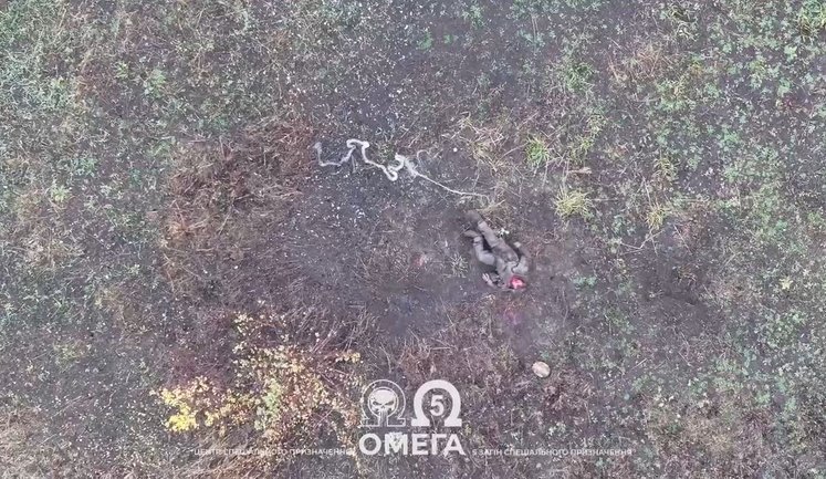 Спецназовцы "Омеги" нанесли удар по 3 вражеским пехотинцам на Прокровском направлении. ВИДЕО