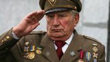 В День Победы львовским школьникам о своих подвигах расскажут ветераны УПА