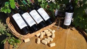 Кремлевская марионетка Аксенов: нужно продать все винзаводы в Крыму