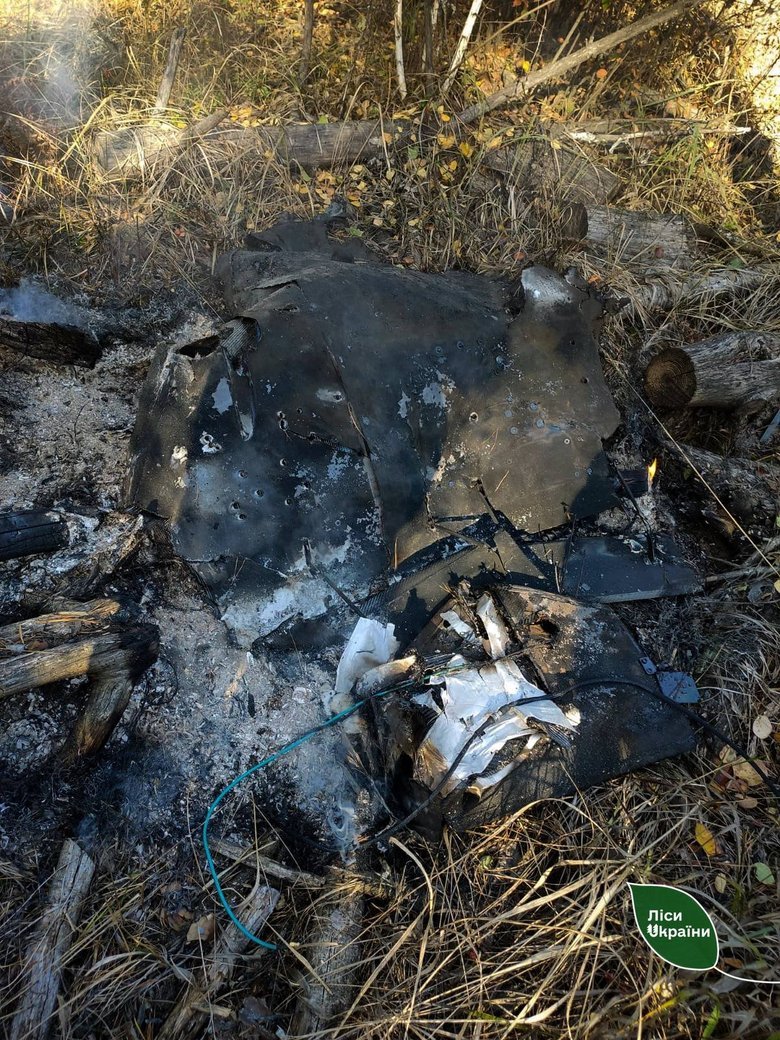 Forest fires in Ukraine – 87 per cent of the area burnt this week was caused by Russian attacks
