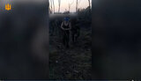 пятихатки