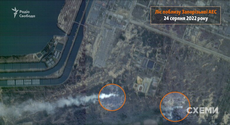 Спутник зафиксировал пожары вблизи Запорожской АЭС, - СМИ 03